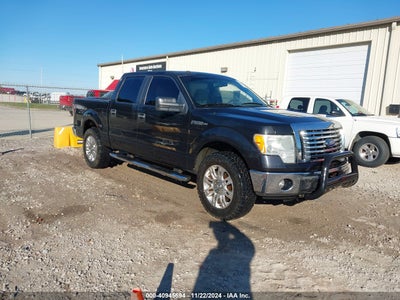 FORD F-150 2010
