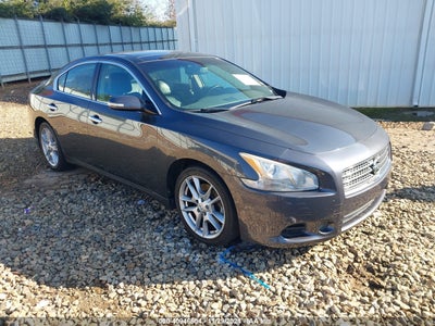 NISSAN MAXIMA 2010