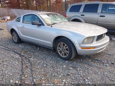 FORD MUSTANG 2005