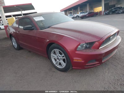 FORD MUSTANG 2014