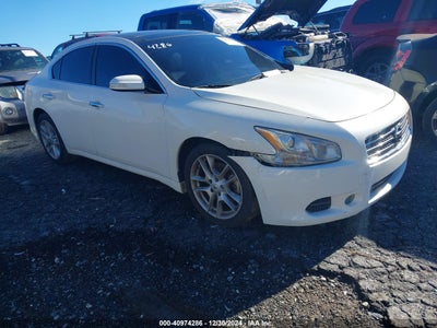 NISSAN MAXIMA 2010