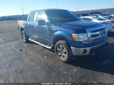 FORD F-150 2013