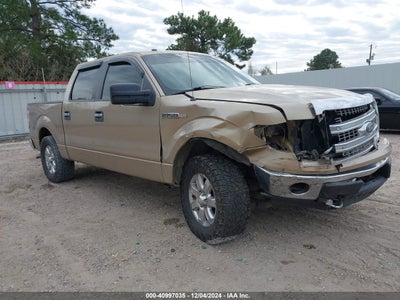 FORD F-150 2013