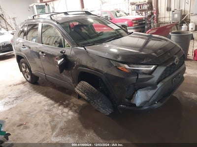 TOYOTA RAV4 2024