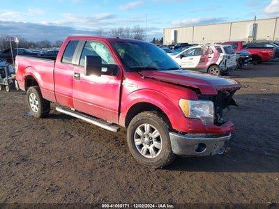 FORD F-150 2010