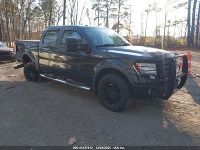 FORD F-150 2009
