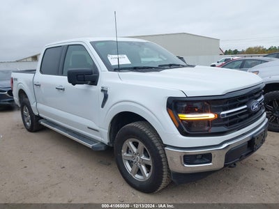 FORD F-150 2024