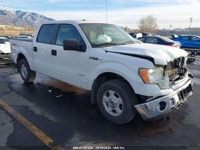 FORD F-150 2014
