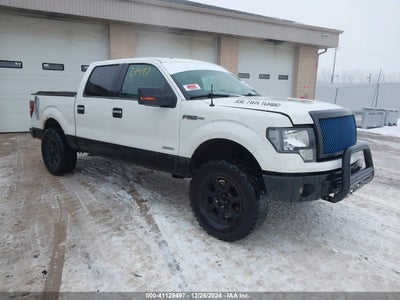 FORD F-150 2011