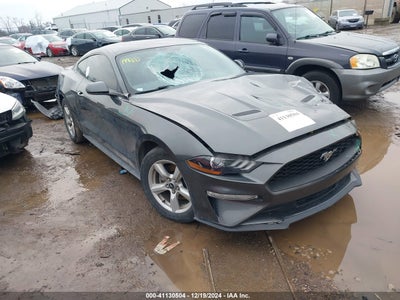 FORD MUSTANG 2019