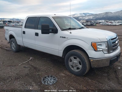 FORD F-150 2010