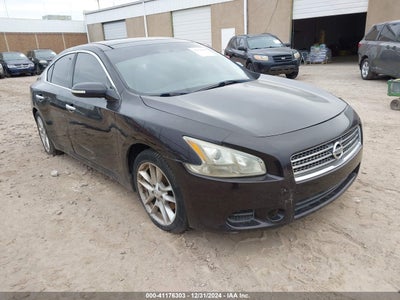 NISSAN MAXIMA 2010