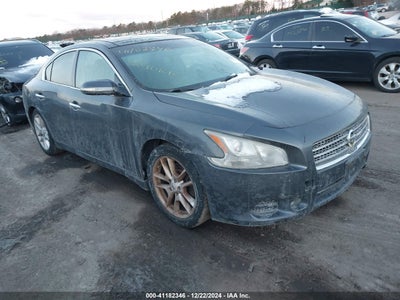 NISSAN MAXIMA 2010