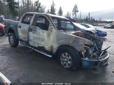 FORD F-150 2014