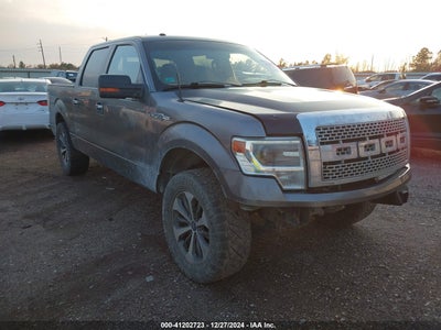 FORD F-150 2014
