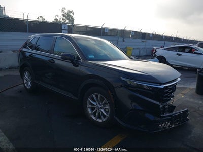HONDA CR-V 2024