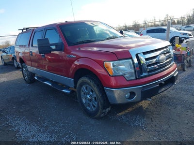 FORD F-150 2009