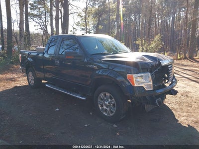 FORD F-150 2010