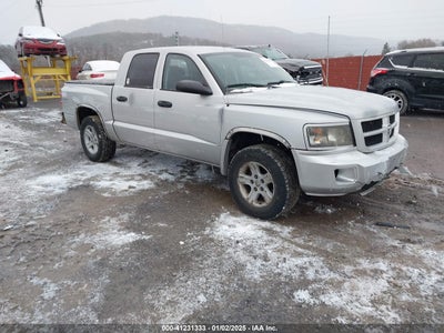 RAM DAKOTA 2011