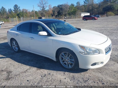 NISSAN MAXIMA 2011