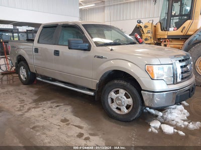 FORD F-150 2010
