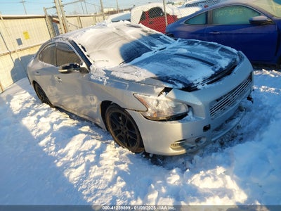 NISSAN MAXIMA 2010