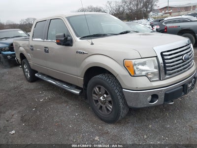 FORD F-150 2010