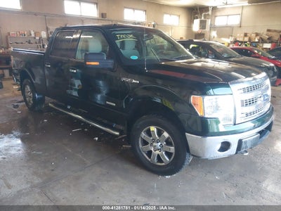 FORD F-150 2013