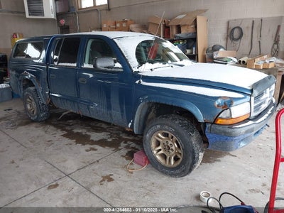 DODGE DAKOTA 2004