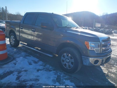 FORD F-150 2013