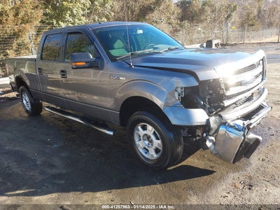 FORD F-150 2013