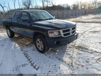 RAM DAKOTA 2011