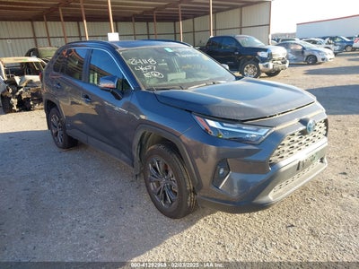 TOYOTA RAV4 HYBRID 2024