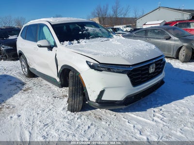 HONDA CR-V 2025