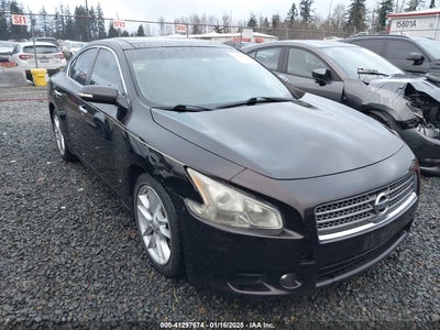 NISSAN MAXIMA 2010