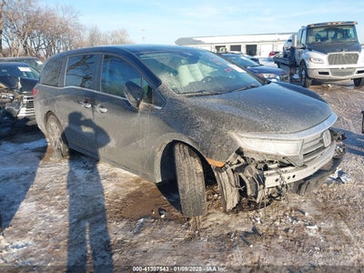HONDA ODYSSEY 2022
