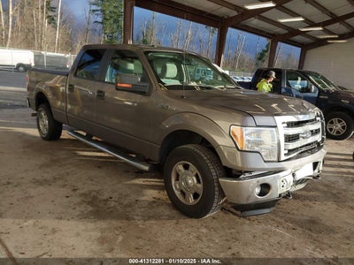 FORD F-150 2014