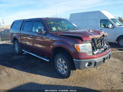 FORD F-150 2010