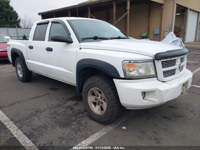 DODGE DAKOTA 2008