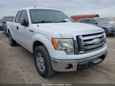 FORD F-150 2009