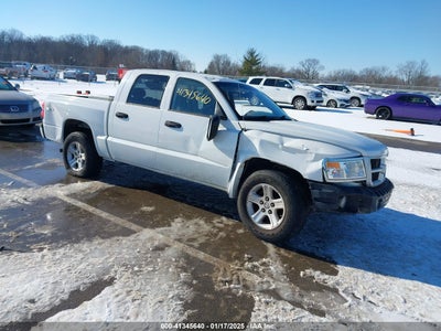 RAM DAKOTA 2011