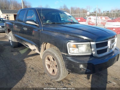 RAM DAKOTA 2011