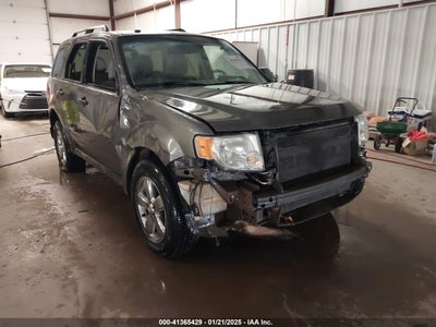 FORD ESCAPE 2010