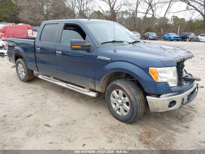 FORD F-150 2013