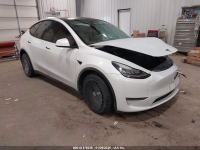 TESLA MODEL Y 2020