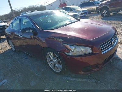 NISSAN MAXIMA 2010