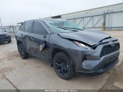 TOYOTA RAV4 2024