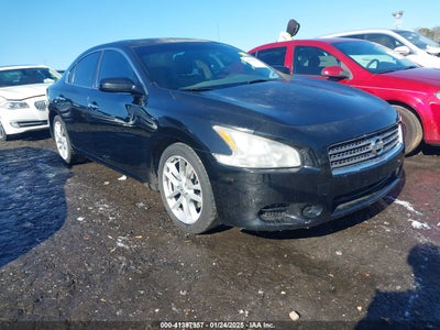 NISSAN MAXIMA 2010