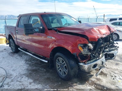 FORD F-150 2014