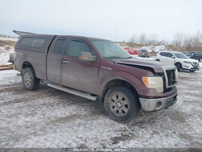 FORD F-150 2010